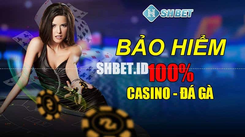 Shbet bảo hiểm 100%