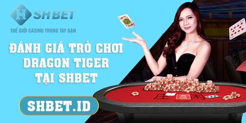 Đánh giá trò chơi Dragon Tiger tại SHBET chi tiết nhất 2023